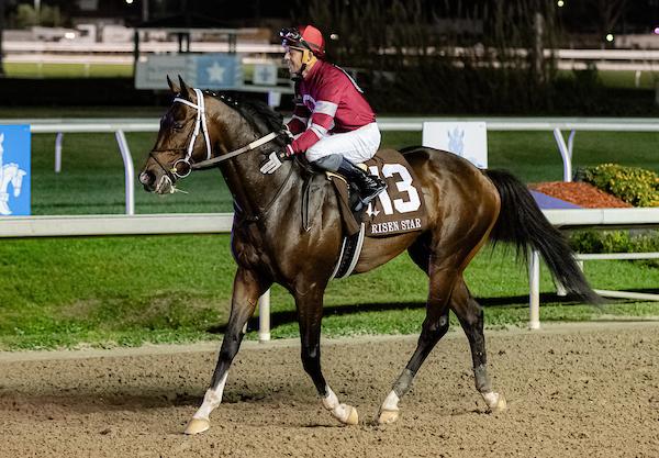 Magnitude, Pennsylvania Derby, Parx Racing, America's Best Racing, horse racing, ABR